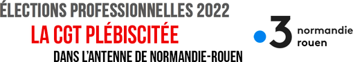 elections professionnelles 1er tour merci