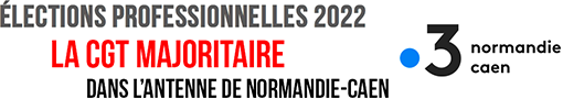 elections professionnelles 1er tour merci