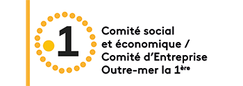 Compte rendu du CSE  Mayotte la 1ère du 27 novembre 2025